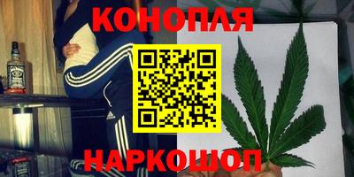прущие крисы Нальчик