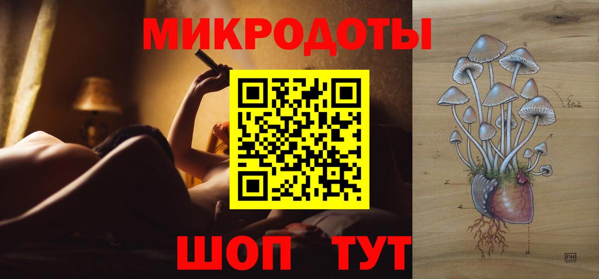Псилоцибиновые грибы Cubensis Тавда
